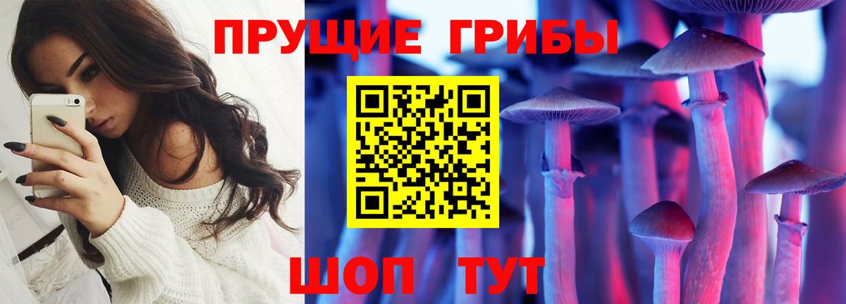Хабаровск  Псилоцибиновые грибы Cubensis  Вход с VPN 